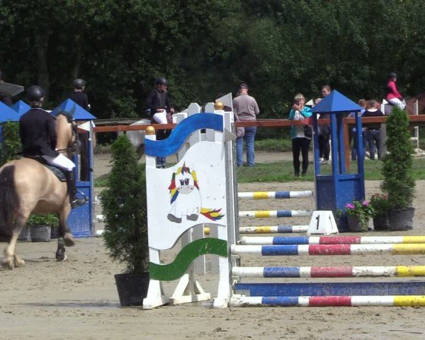 Reitturnier Arnsberg-Holzen 2024