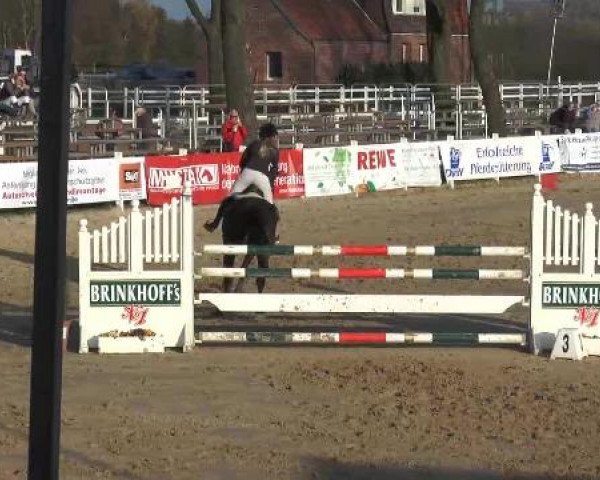 Lenklarer Reitertage auf der Reitsportanlage Gripshöver 2013