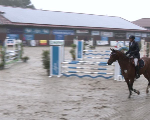 Reitturnier Marienheide-Kempershöhe 2024