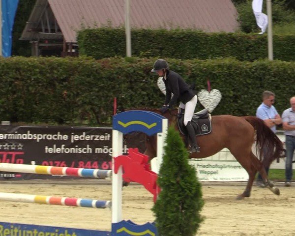 Reitturnier Ennigerloh-Neubeckum 2024