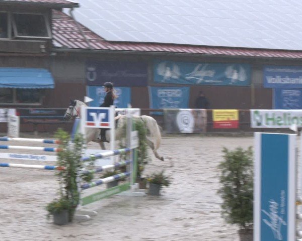Reitturnier Marienheide-Kempershöhe 2024