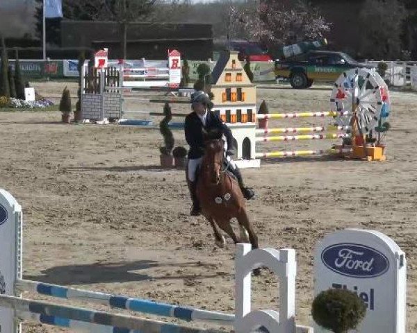 Lenklarer Reitertage auf der Reitsportanlage Gripshöver 2013