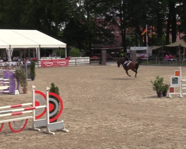 Reitturnier Klein Roscharden 2024