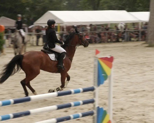Reitturnier Mannheim-Friedrichsfeld 2024