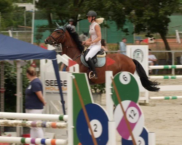 Reitturnier Mannheim-Friedrichsfeld 2024