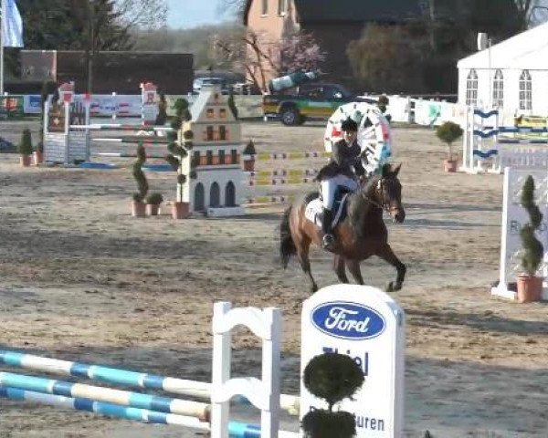 Lenklarer Reitertage auf der Reitsportanlage Gripshöver 2013