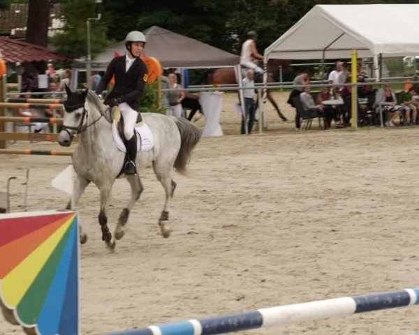 Reitturnier Mannheim-Friedrichsfeld 2024