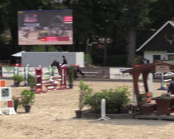 Reitturnier Klein Roscharden 2024