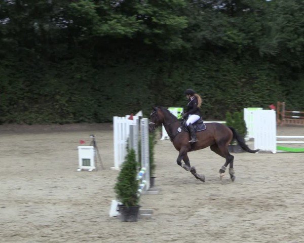 Reitturnier Arnsberg-Holzen 2024