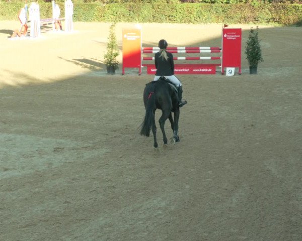 Reitturnier Böblingen 2021