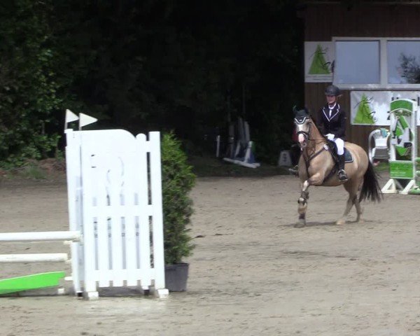 Reitturnier Arnsberg-Holzen 2024
