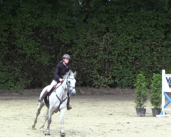 Reitturnier Arnsberg-Holzen 2024