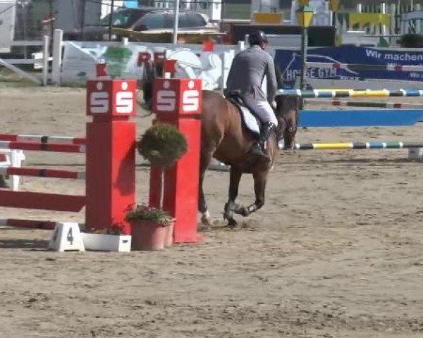 Lenklarer Reitertage auf der Reitsportanlage Gripshöver 2013