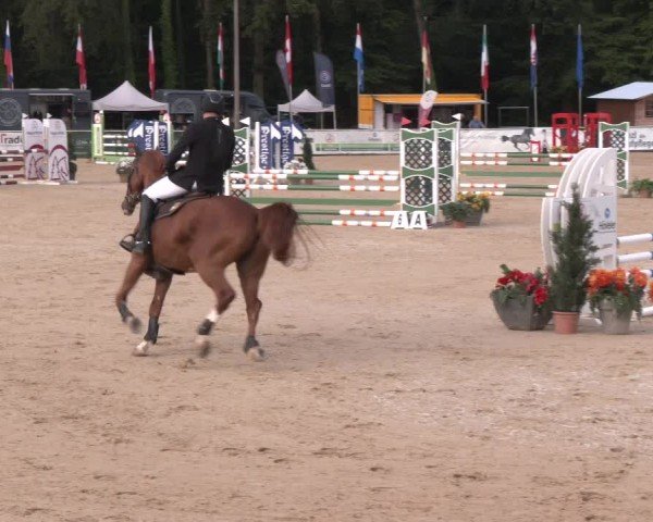 Reitturnier Ranshofen - Braunau am Inn 2024