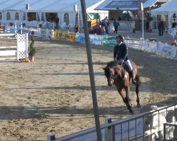 Lenklarer Reitertage auf der Reitsportanlage Gripshöver 2013
