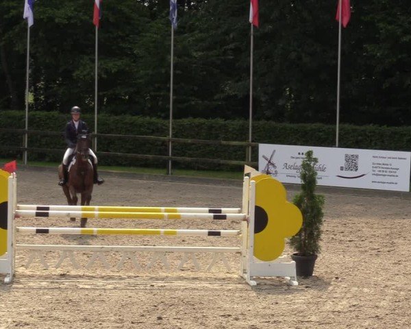 Reitturnier Klein Roscharden 2024
