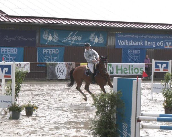 Reitturnier Marienheide-Kempershöhe 2024