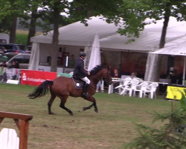 Reitturnier Zobbenitz 2024