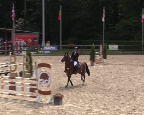 Reitturnier Klein Roscharden 2024