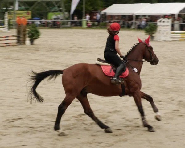 Reitturnier Mannheim-Friedrichsfeld 2024