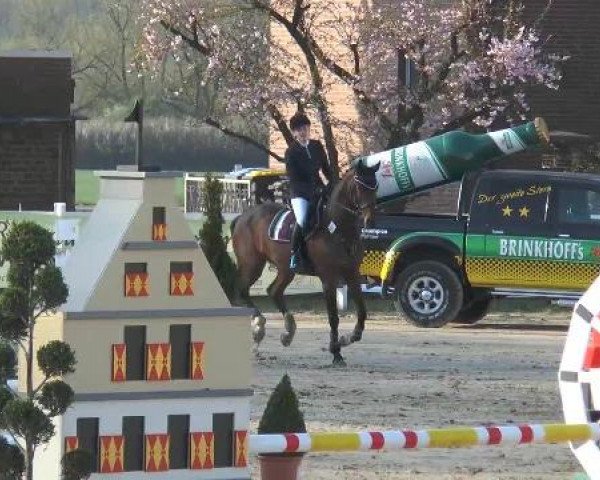 Lenklarer Reitertage auf der Reitsportanlage Gripshöver 2013