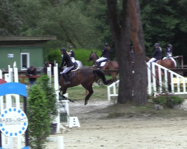 Reitturnier Arnsberg-Holzen 2024