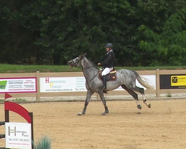 Reitturnier Tiefenhof/Opf. 2024