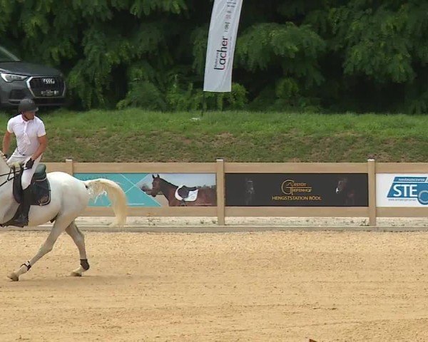 Reitturnier Tiefenhof/Opf. 2024