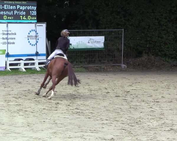 Reitturnier Arnsberg-Holzen 2024