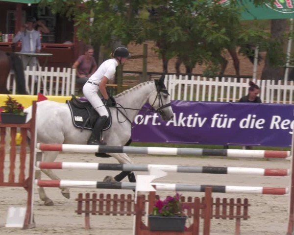 Reitturnier Groß-Zimmern 2024