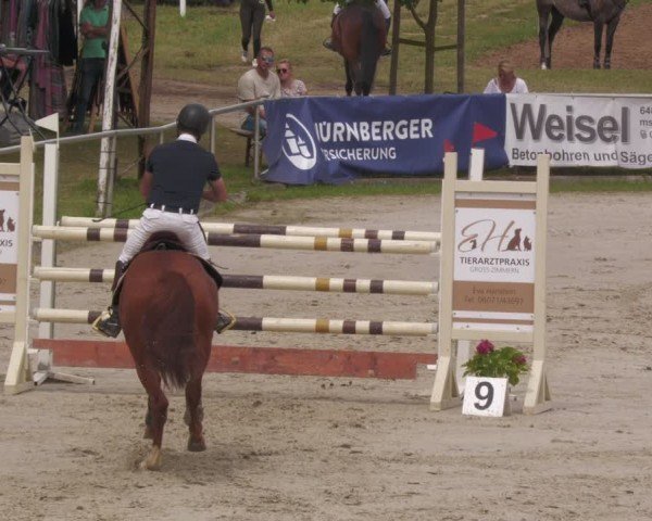 Reitturnier Groß-Zimmern 2024