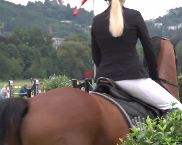 Reitturnier Bad Kissingen/Ufr. 2024
