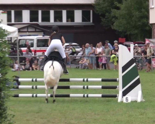 Reitturnier Bad Kissingen/Ufr. 2024