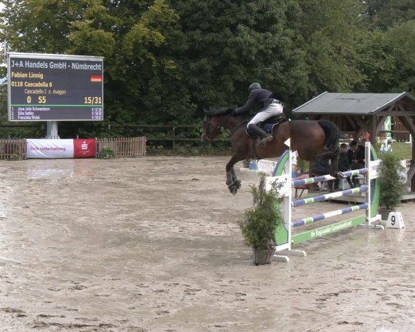 Reitturnier Marienheide-Kempershöhe 2024