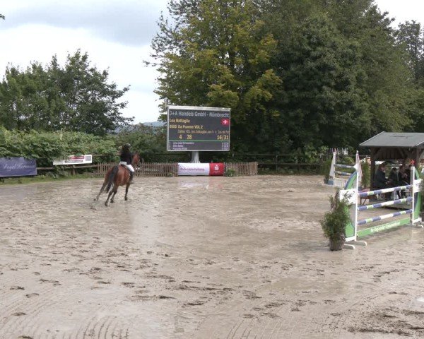Reitturnier Marienheide-Kempershöhe 2024