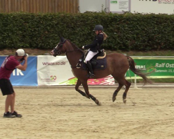 Reitturnier Ennigerloh-Neubeckum 2024