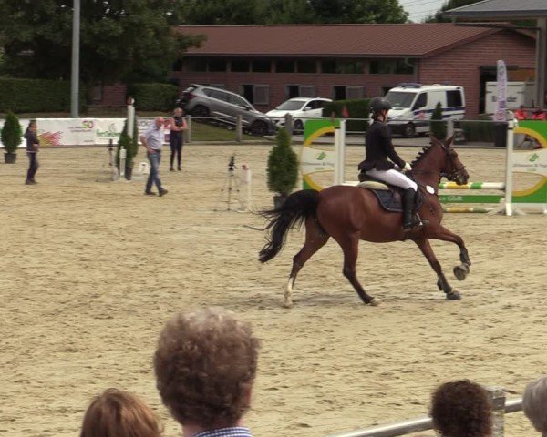 Reitturnier Ennigerloh-Neubeckum 2024