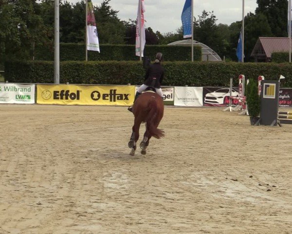 Reitturnier Ennigerloh-Neubeckum 2024
