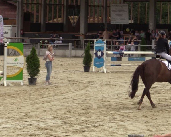 Reitturnier Ennigerloh-Neubeckum 2024