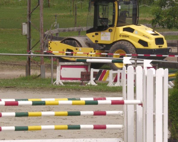Reitturnier Groß-Zimmern 2024