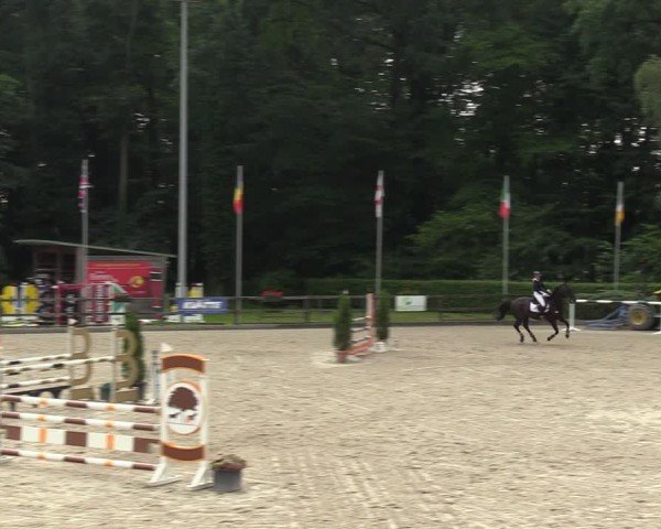 Reitturnier Klein Roscharden 2024