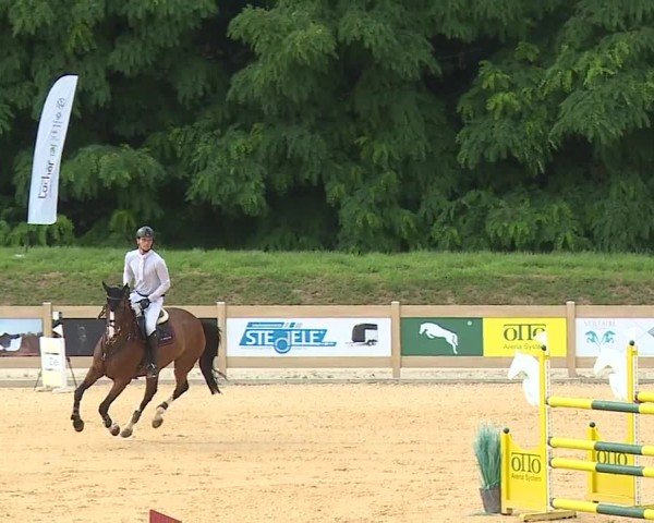 Reitturnier Tiefenhof/Opf. 2024