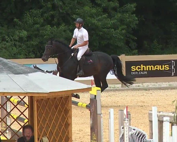 Reitturnier Tiefenhof/Opf. 2024