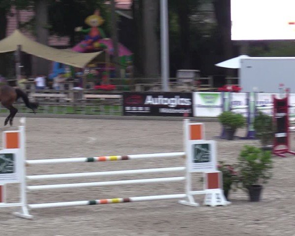Reitturnier Klein Roscharden 2024