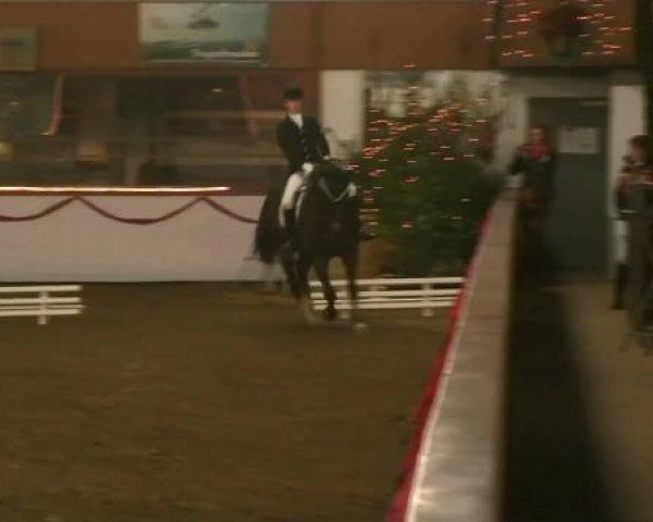 Hallen-Reit- und Springturnier des RV Suedlohn-Oeding für Ponys und Großpferde 2012
