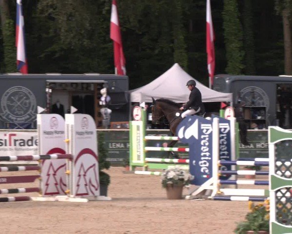 Reitturnier Ranshofen - Braunau am Inn 2024