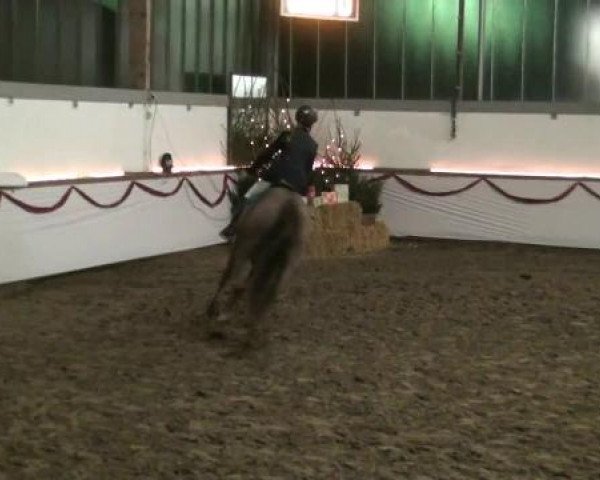 Hallen-Reit- und Springturnier des RV Suedlohn-Oeding für Ponys und Großpferde 2012