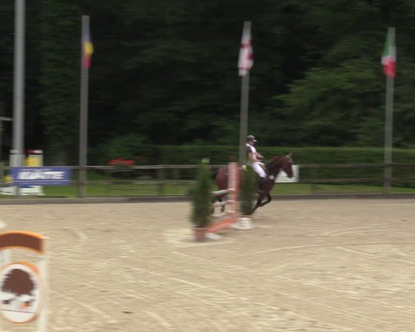 Reitturnier Klein Roscharden 2024