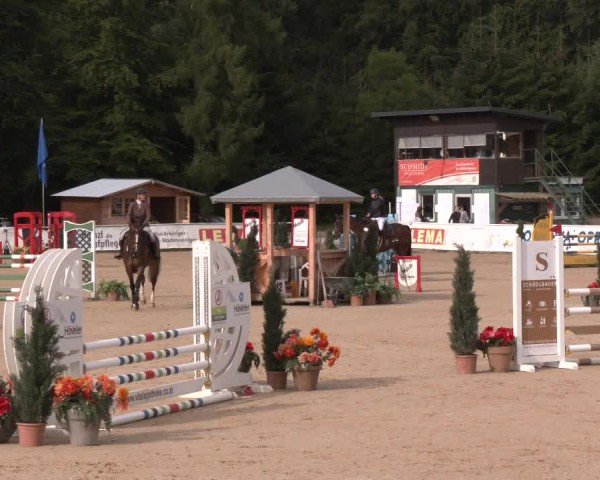 Reitturnier Ranshofen - Braunau am Inn 2024