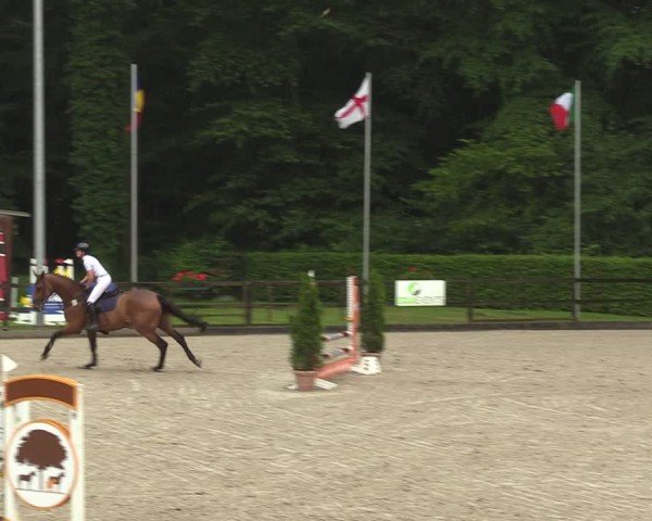 Reitturnier Klein Roscharden 2024